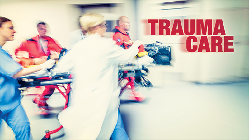 Upon completion of this online training course, the participant will know how to provide lifesaving procedures to help save lives by stabilizing severely injured persons until professional medical assistance can arrive.