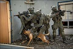 Definition of biological, chemical and nuclear terrorism. A discussion of how vulnerable the U.S. is, and what we can do to protect our borders and the internal communities of this country. Brief history of past terrorist groups.